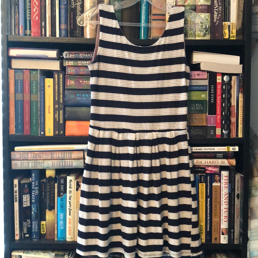 Francesca’s Dina Be Striped Skater Dress
